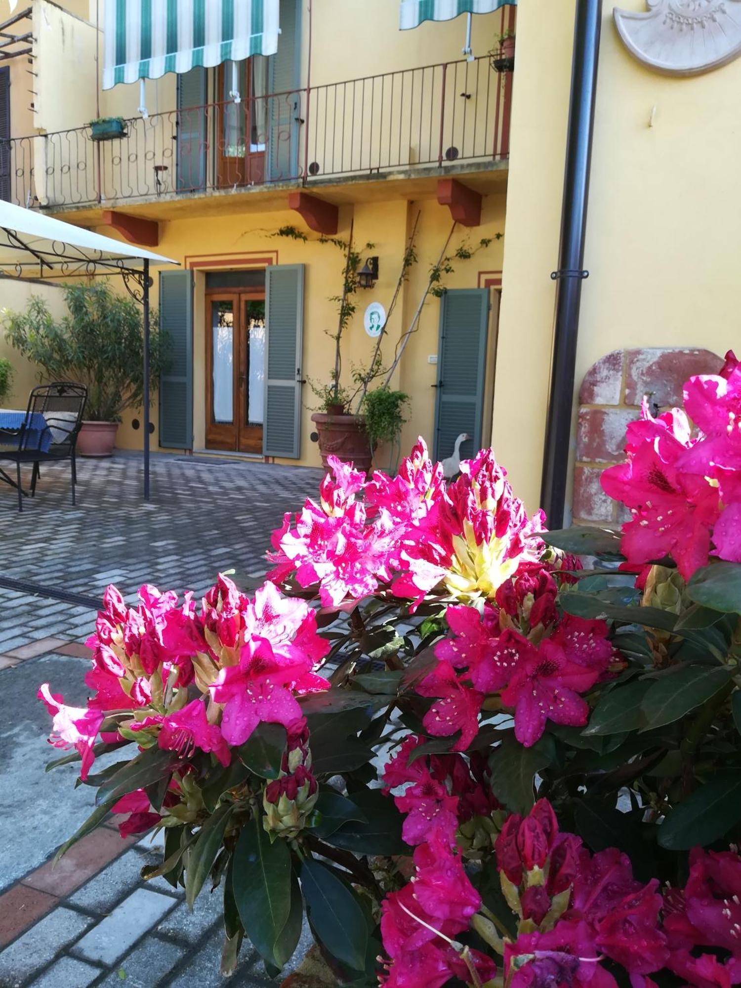 L'Adele Bed & Breakfast Occimiano Luaran gambar