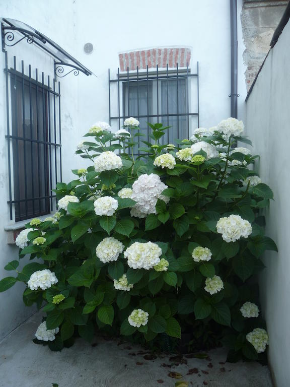 L'Adele Bed & Breakfast Occimiano Luaran gambar