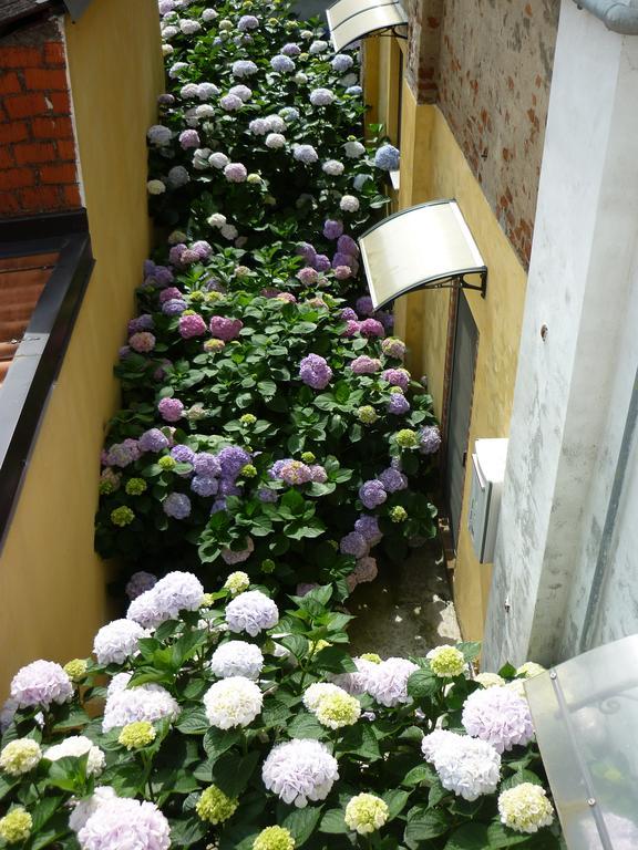 L'Adele Bed & Breakfast Occimiano Luaran gambar