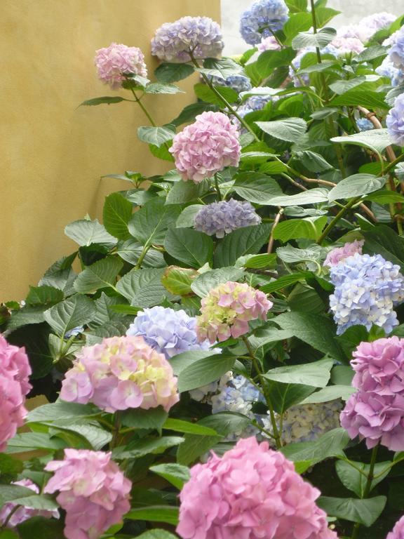 L'Adele Bed & Breakfast Occimiano Luaran gambar