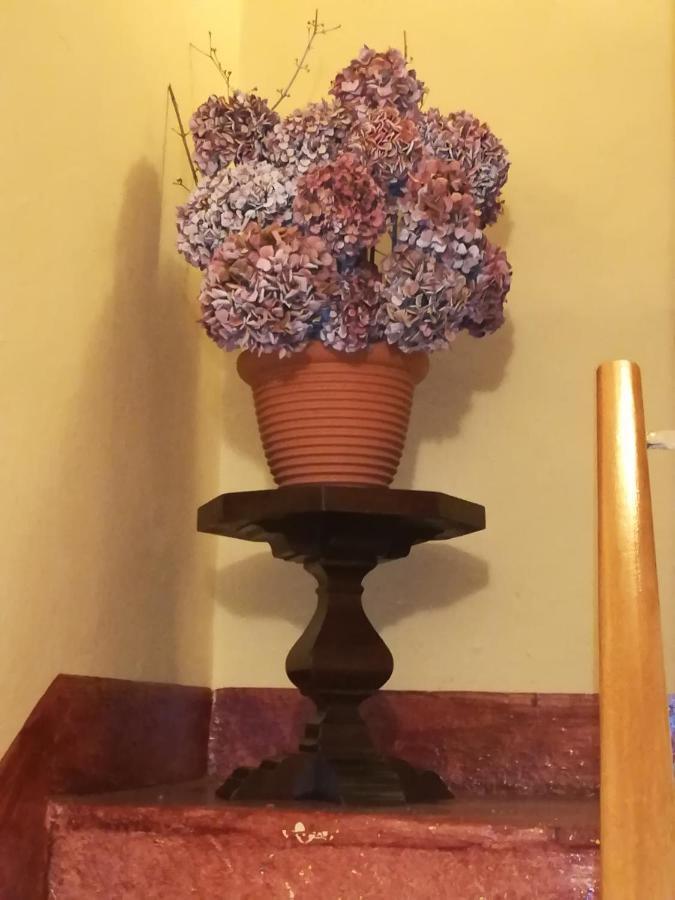 L'Adele Bed & Breakfast Occimiano Luaran gambar